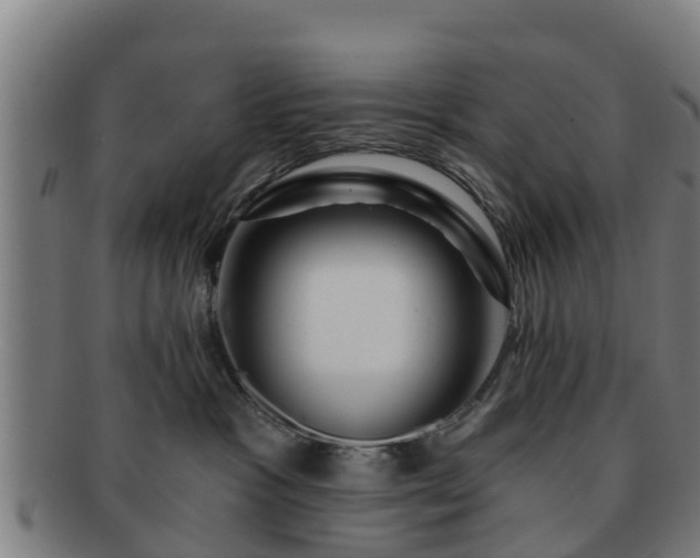 X0000091720333200708311144