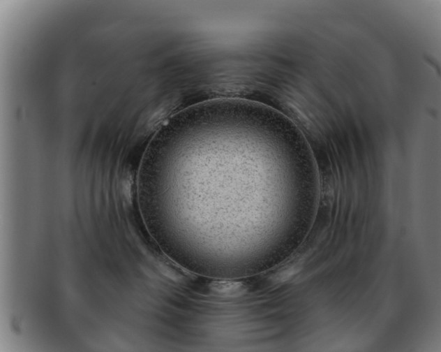 X0000091720334200708311144