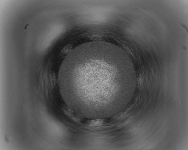 X0000091720335200708311144