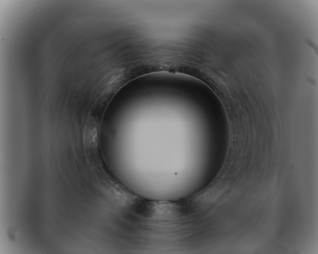 X0000091720336200708311144