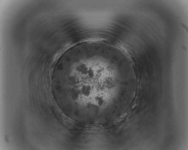 X0000091720337200708311143