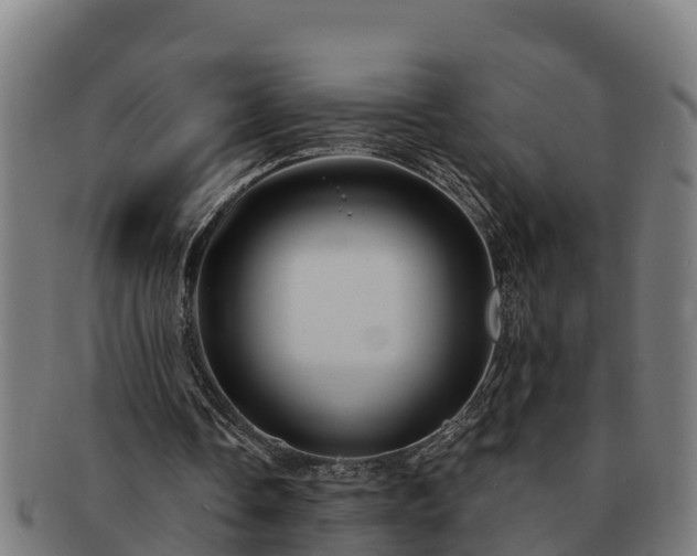 X0000091720338200708311143