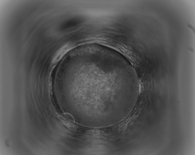 X0000091720339200708311143