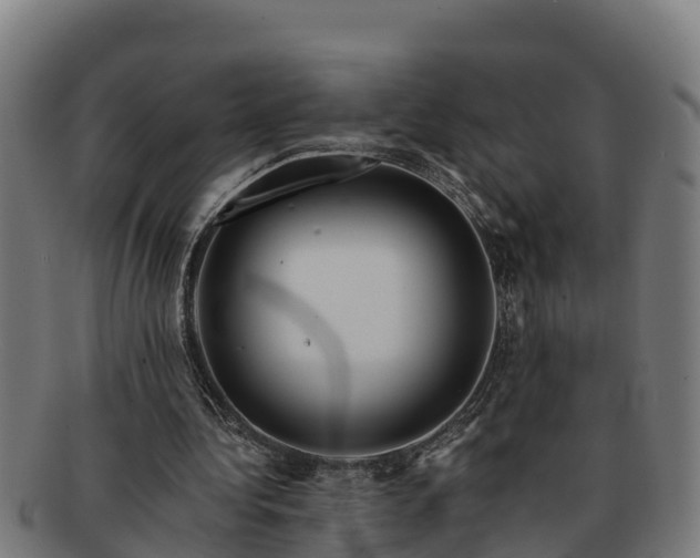 X0000091720340200708311143