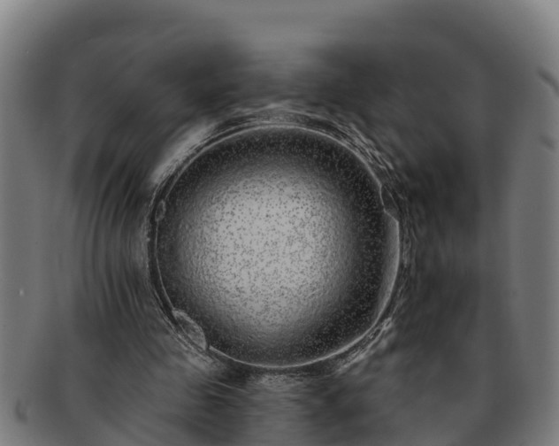 X0000091720341200708311143