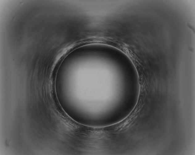 X0000091720342200708311144