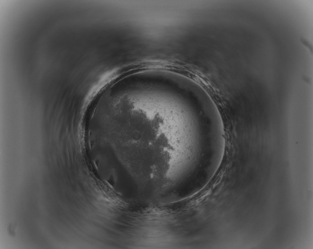 X0000091720343200708311144