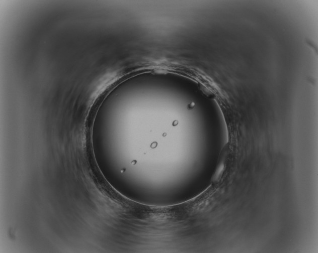 X0000091720344200708311144