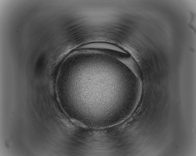 X0000091720345200708311144