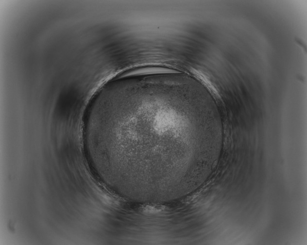 X0000091720346200708311144