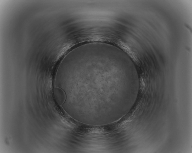 X0000091720347200708311144