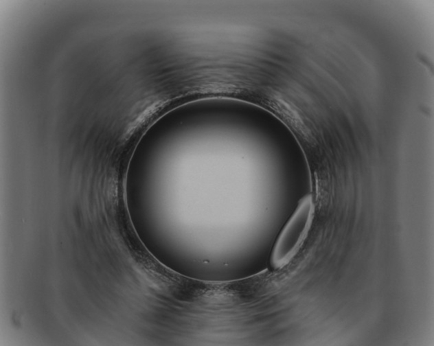 X0000091720348200708311144