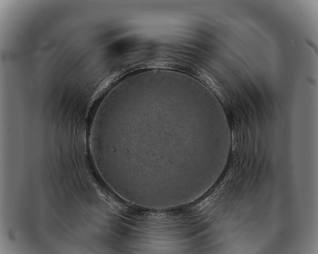 X0000091720349200708311144