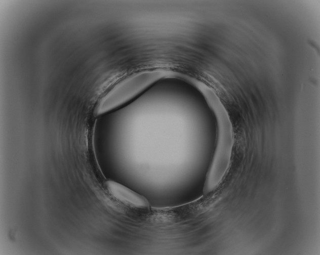 X0000091720350200708311144