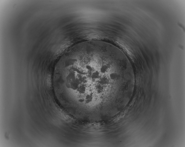 X0000091720353200708311144