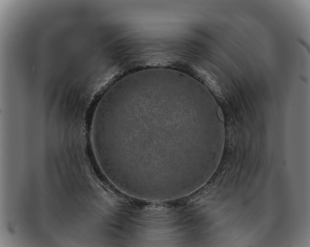 X0000091720354200708311144