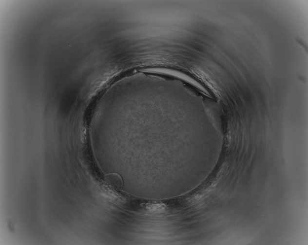 X0000091720355200708311144