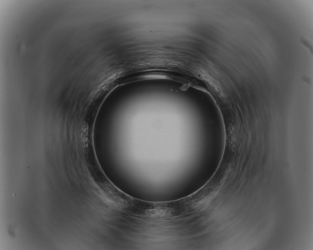 X0000091720356200708311144