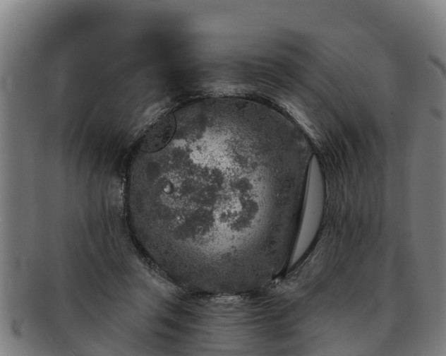 X0000091720357200708311144