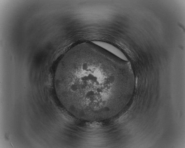 X0000091720359200708311144