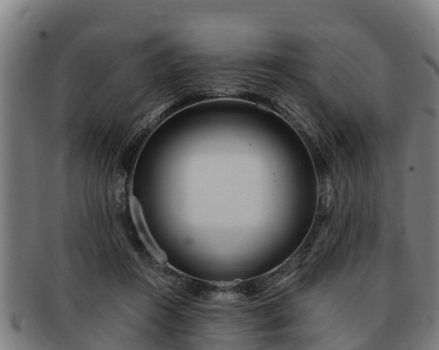 X0000091720360200708311144