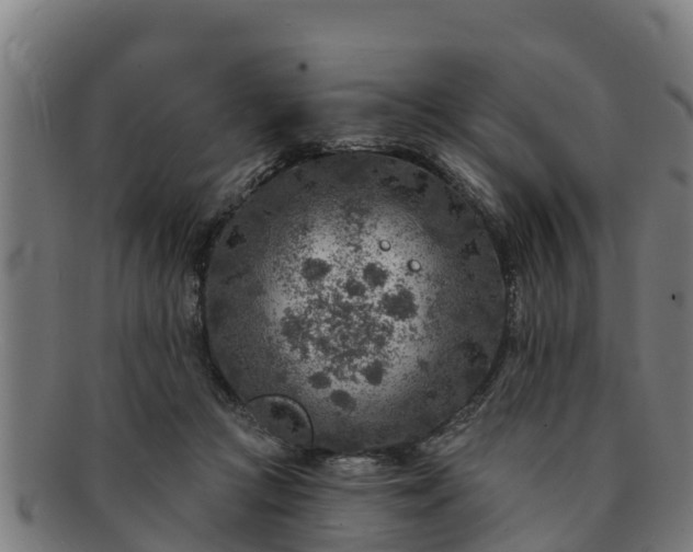 X0000091720361200708311144