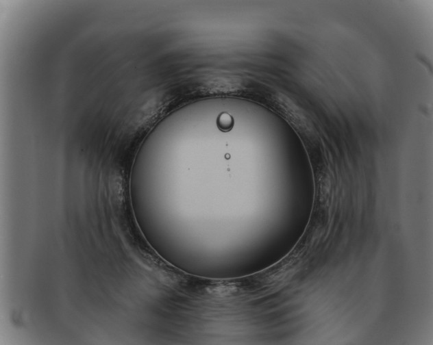 X0000091720362200708311144