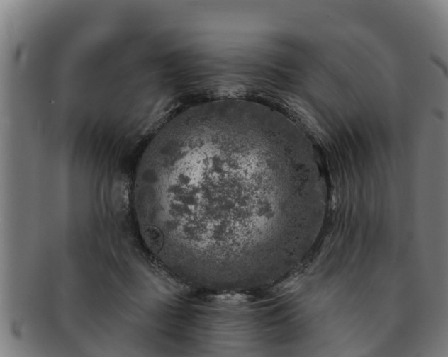 X0000091720363200708311144