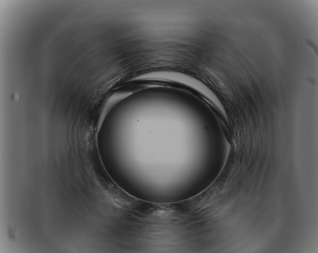 X0000091720364200708311144