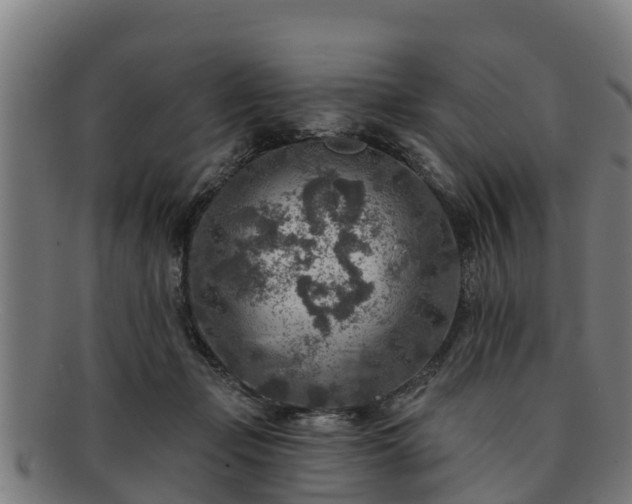 X0000091720365200708311144