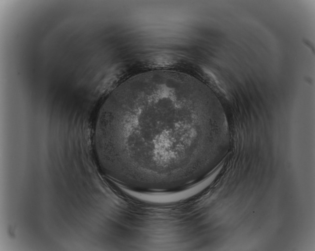 X0000091720366200708311144