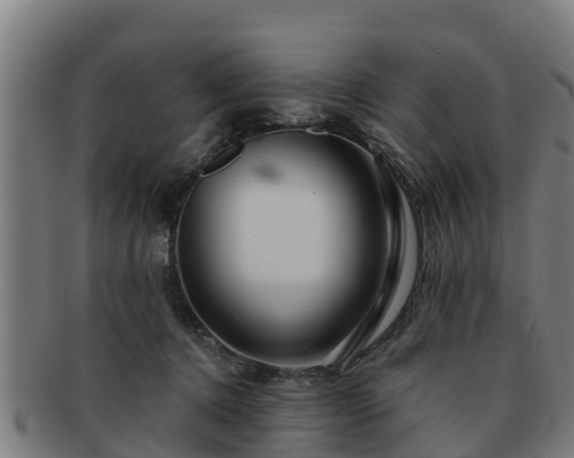 X0000091720368200708311144