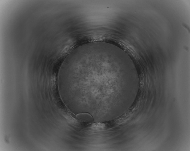 X0000091720369200708311144