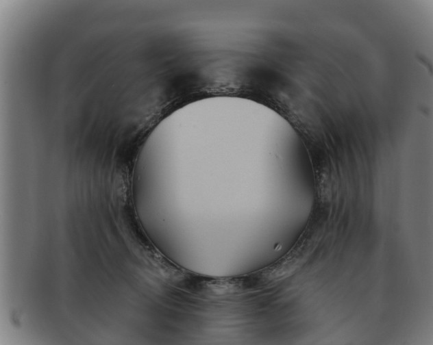 X0000091720370200708311144