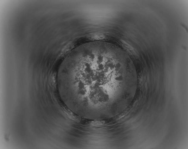 X0000091720373200708311144