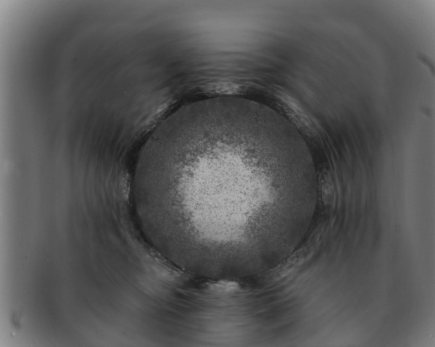 X0000091720374200708311144