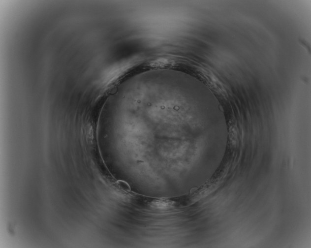 X0000091720375200708311144