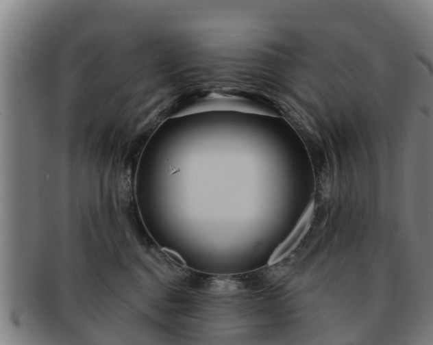 X0000091720376200708311144