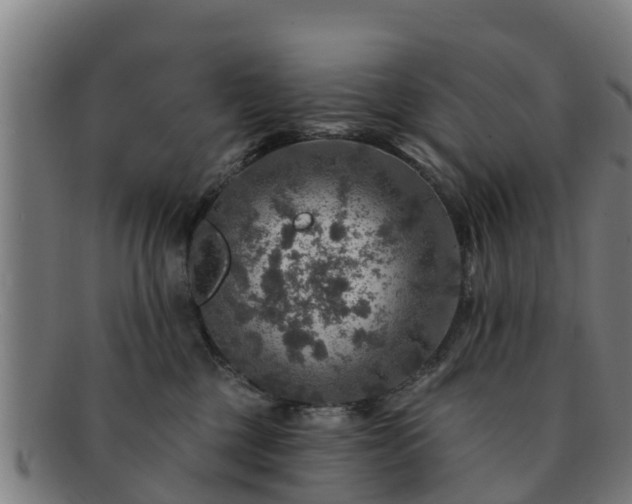 X0000091720377200708311144