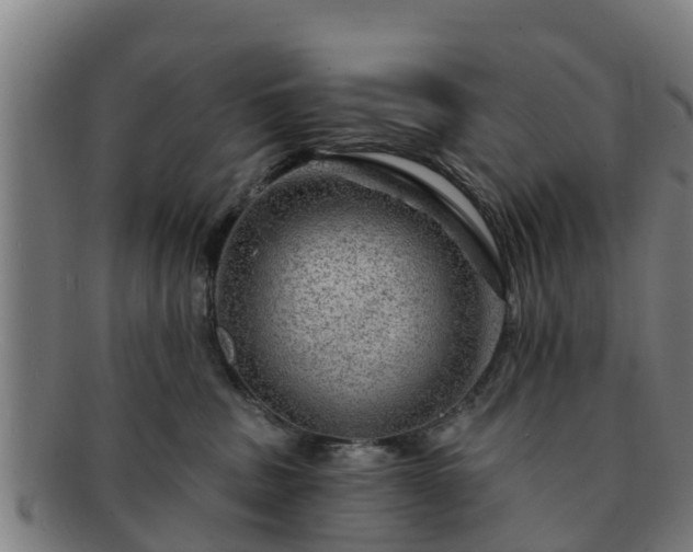 X0000091720379200708311144