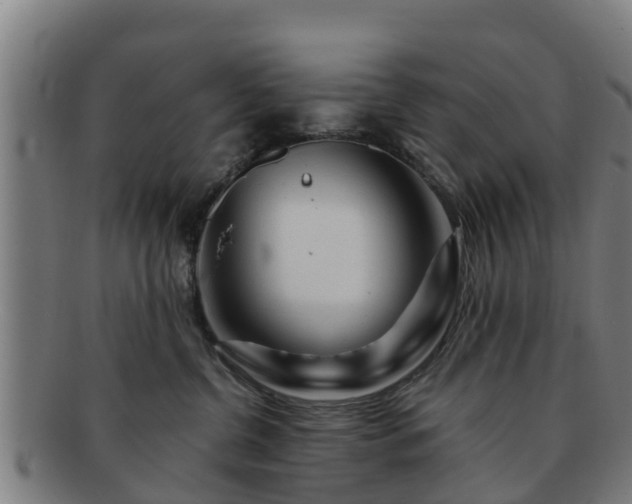 X0000091720380200708311144