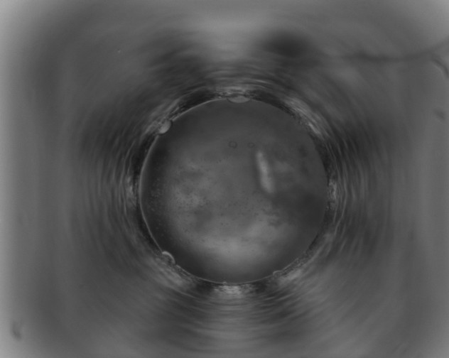 X0000091720381200708311144