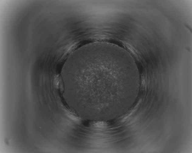 X0000091720383200708311144