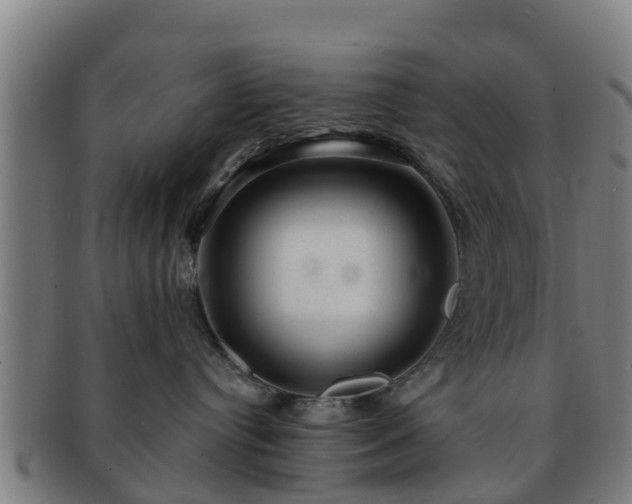 X0000091720384200708311144