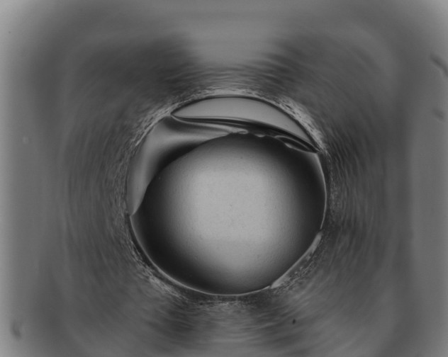 X0000091720385200708311143