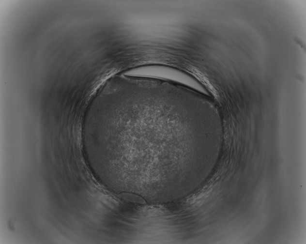 X0000091720386200708311143