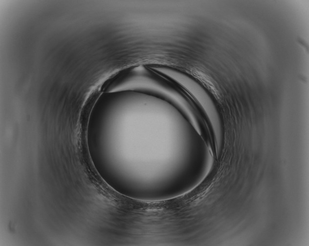 X0000091720388200708311143