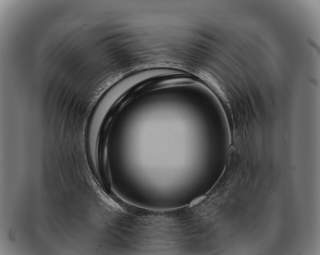 X0000091720389200708311143