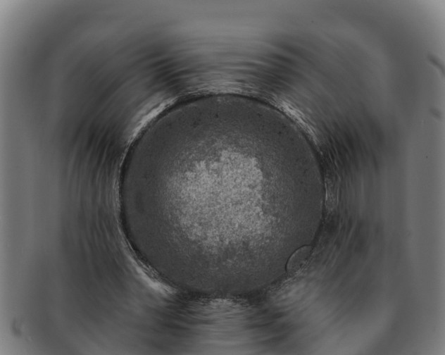 X0000091720390200708311143