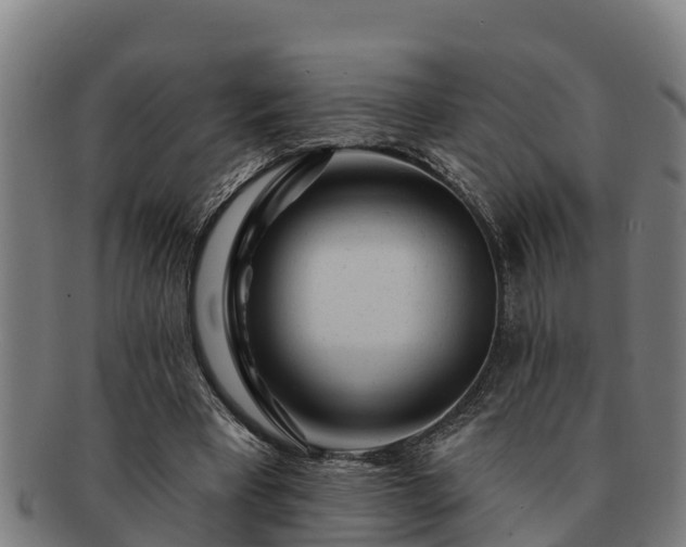 X0000091720393200708311143